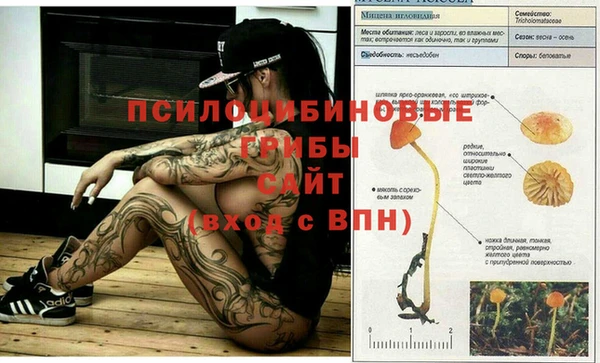 дурь Новозыбков