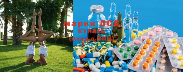 мяу мяу мука Новодвинск